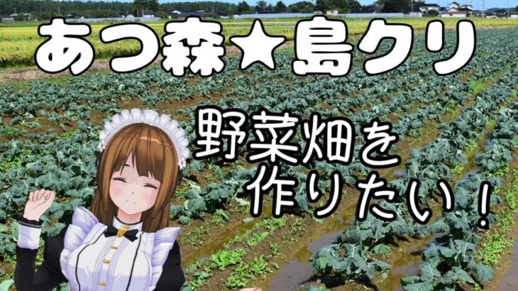【あつまれ どうぶつの森】果樹園と野菜畑を作っていく【あつ森】