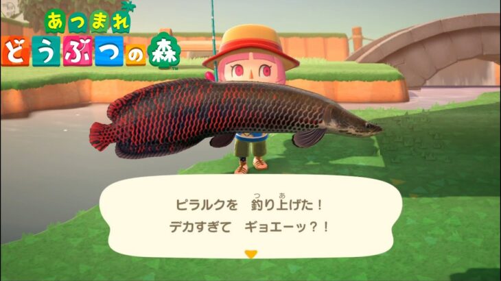 【あつ森】のんびり雑談
