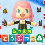 あつ森の夏が来た！カブトムシ！クワガタ！虫取りだ！『あつまれ どうぶつの森』