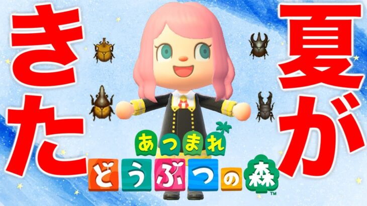 あつ森の夏が来た！カブトムシ！クワガタ！虫取りだ！『あつまれ どうぶつの森』