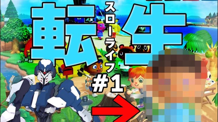 枠取り直し【あつ森】　初見！さいぼーぐのすろーらいふ　＃１