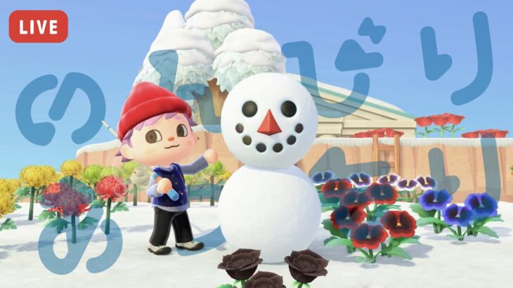【あつ森】冬の釣り大会にフライング参戦！スローライフを楽しもう☃️【島クリエイト】