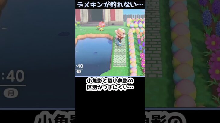 【あつ森】≪デメキン≫　出なさすぎの極小魚影　　　　　　　　　　　　 #ゆっくり実況