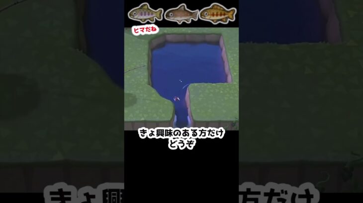 【あつ森】　好奇心には勝てない　　　　　　　　　　　　　 #あつまれどうぶつの森 #あつ森