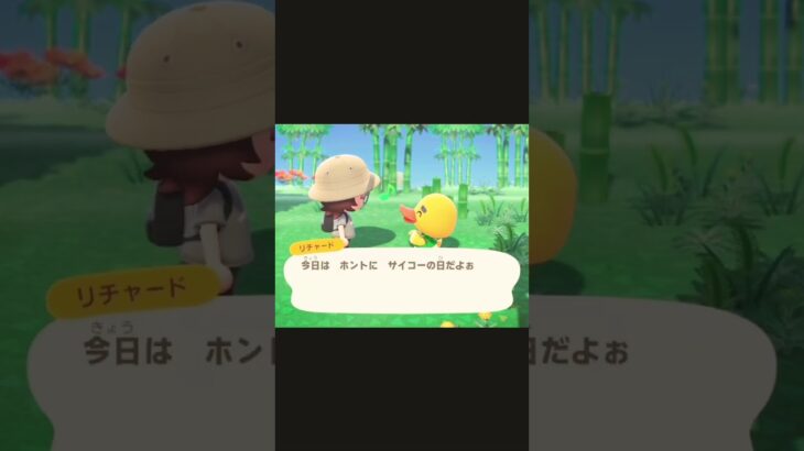 やったー！！リチャードやっと出会えた😭#あつ森 #リチャード