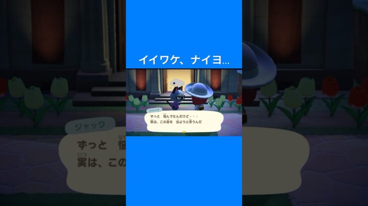 【 あつ森 】ズット イッショダヨ