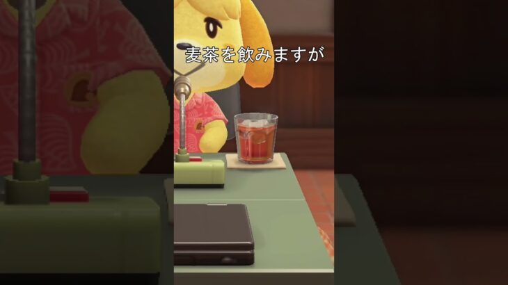 しずえ　麦茶　ウィスキー　#あつ森 #あつまれどうぶつの森 #しずえ