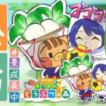 【あつまれどうぶつの森】ウリ様逆凸配信 【長尾景/にじさんじ】