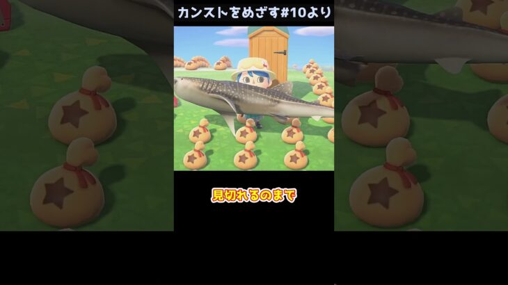 【あつ森】　逃がしたら面白そうな魚選手権　　　　　　　　　　　　　　　　　　　 #あつまれどうぶつの森