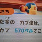 【あつ森】カブ５７０島開放中！高評価、チャンネル登録で無料！