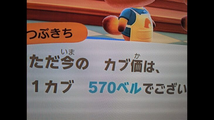 【あつ森】カブ５７０島開放中！高評価、チャンネル登録で無料！