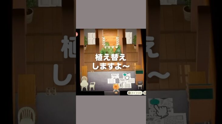 大きな玄関でガーデニングを始めよう🪴【あつ森｜ハッピーホームパラダイス】