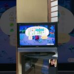 あつ森配信してたらムシ降ってきた(ガチ)
