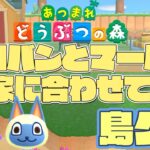【あつ森】島クリ！ニコバンとマールのお家周りを夏っぽビタミンカラーにしていく＃２７【むにむにくきゅう島】