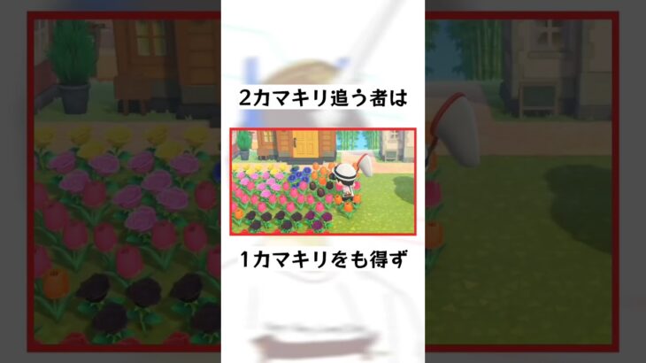 #あつ森 #あつまれどうぶつの森  #ゲーム
