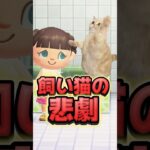 飼い猫ミルクに起こった悲劇/あつ森アニメ#あつまれどうぶつの森