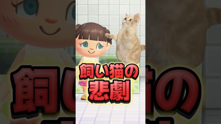 飼い猫ミルクに起こった悲劇/あつ森アニメ#あつまれどうぶつの森