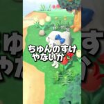奇跡が起きた【あつ森】