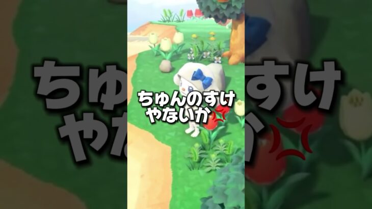 奇跡が起きた【あつ森】