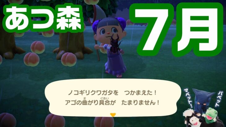 あつ森の夏！キャロラインさん誕生日！パペットマペットのあつまれどうぶつの森生放送🐮🐸