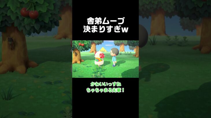 人気者の背中は追いかけたい。 #あつ森