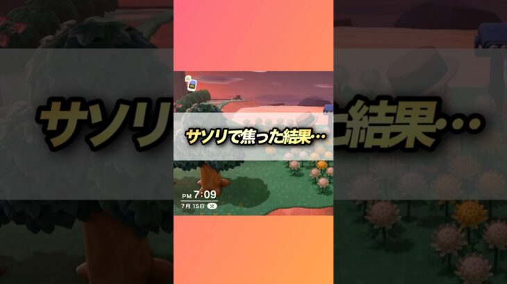 【あつ森】サソリ発見に焦った結果… #あつ森  #あつまれどうぶつの森