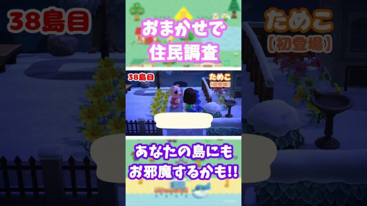 【あつ森】おまかせ夢見で住民調査中‼️