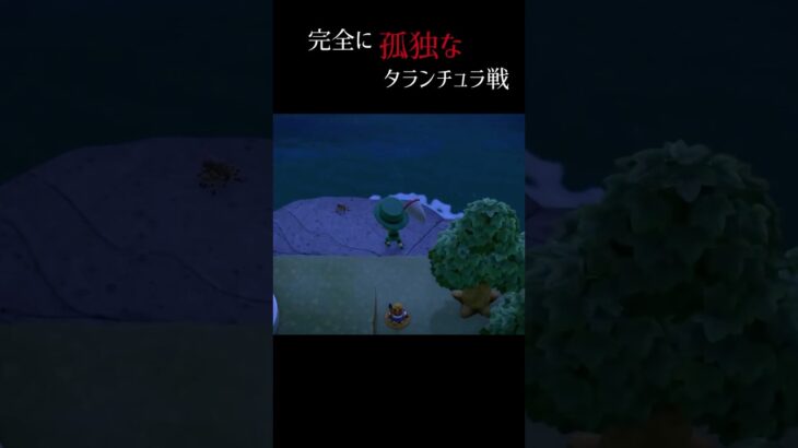 島の端っこでタランチュラ#あつ森