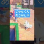 じゅんくんも歌ってくれて幸せ♡ #あつ森 #あつまれどうぶつの森 #どうぶつの森ライブ #けけアイドル #じゅんくん#じゅんくん推し