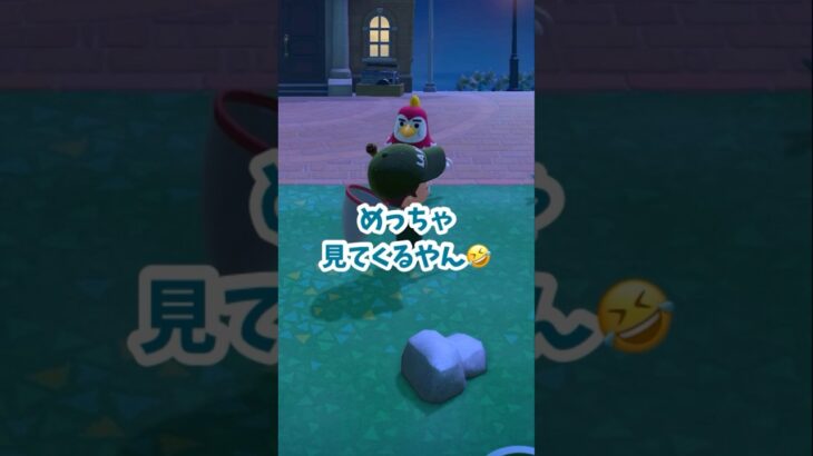 【あつ森】たまに困惑するものをくれる住人 #あつ森 #あつ森日記 #あつまれどうぶつの森