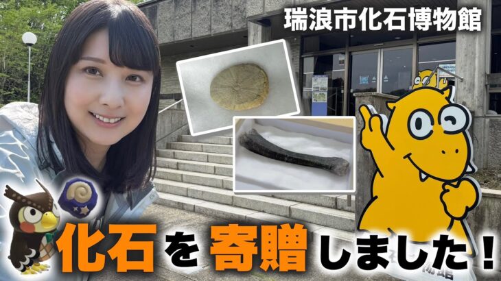 人生初の化石寄贈がリアルあつ森！クリーニングした化石を博物館へ寄贈しました！