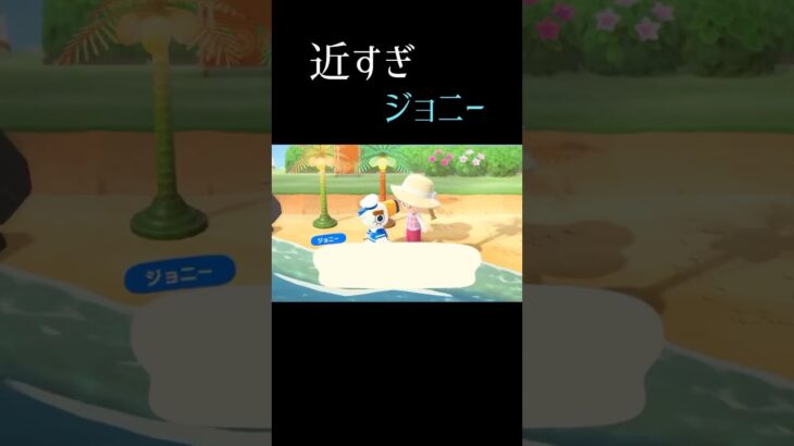 ジョニー近すぎないか？#あつ森