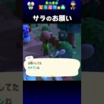 【あつ森】サラのお願い