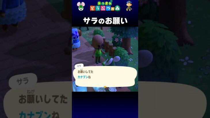 【あつ森】サラのお願い