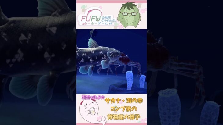 【極めないあつ森】今更⁉︎海の幸コンプしてみた！博物館の様子#あつ森 #あつまれどうぶつの森 #図鑑コンプ #海の幸