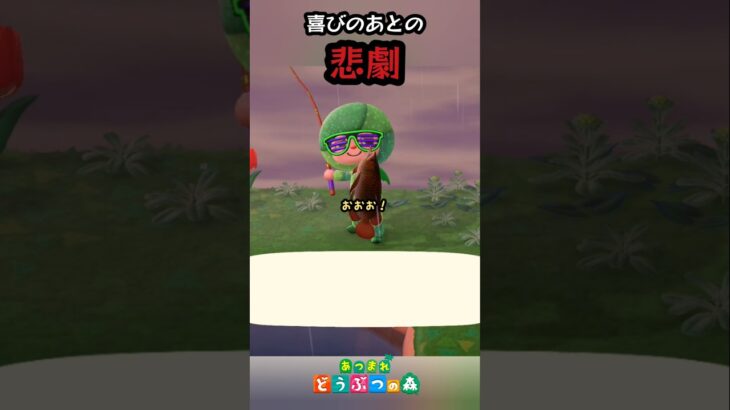うそだろおおおおお😭【あつ森】