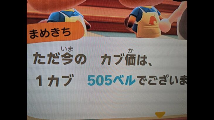 【あつ森】カブ５０５島開放中！高評価、チャンネル登録で無料！