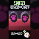 【あつ森】この住民だーれだ！