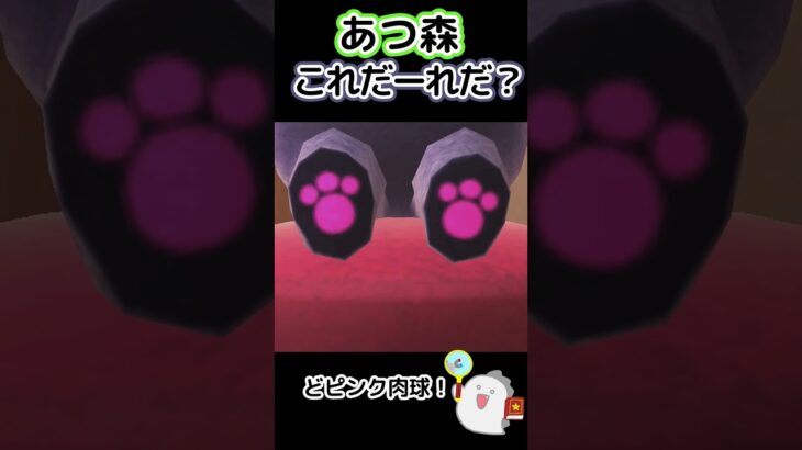 【あつ森】この住民だーれだ！