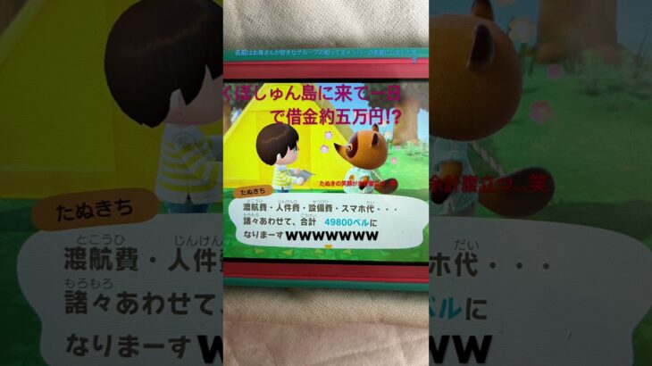 あつ森誕生日で買ってもらって遊んでみたらとんでもない額の借金要求された