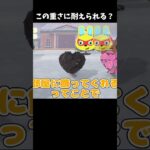 この重さに耐えられる？ #あつ森 #ききゆん 【嬉々桜ゆん】