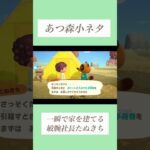 あつ森小ネタ　一瞬で家を建てる敏腕社長たぬきち #あつ森 #あつまれどうぶつの森 #たぬきち