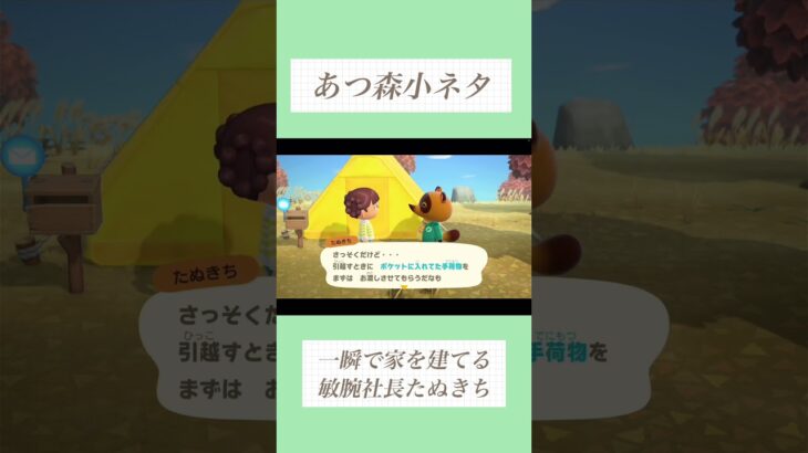 あつ森小ネタ　一瞬で家を建てる敏腕社長たぬきち #あつ森 #あつまれどうぶつの森 #たぬきち