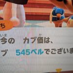 【あつ森】カブ５４５島開放中！高評価、チャンネル登録で無料！