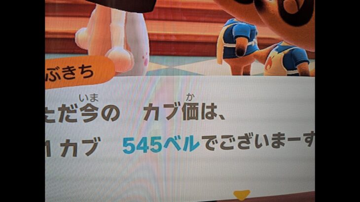 【あつ森】カブ５４５島開放中！高評価、チャンネル登録で無料！