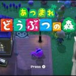 あつ森　のんびり生活