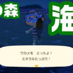 あつ森の夏！カールくん誕生日！海の日にたると初素潜り！パペットマペットのあつまれどうぶつの森生放送🐮🐸