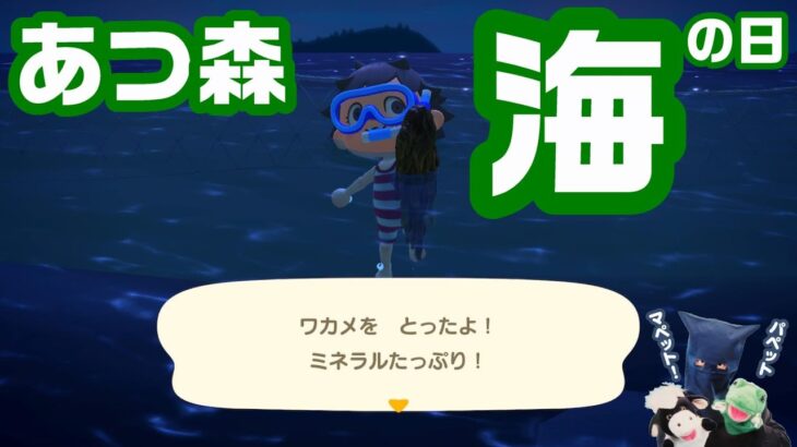あつ森の夏！カールくん誕生日！海の日にたると初素潜り！パペットマペットのあつまれどうぶつの森生放送🐮🐸