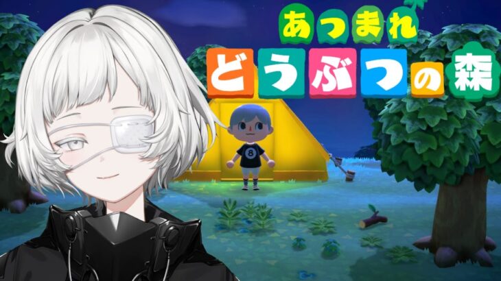 【あつ森】川を越える