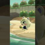 【あつ森】早朝から休暇を楽しむジュンくん☀️